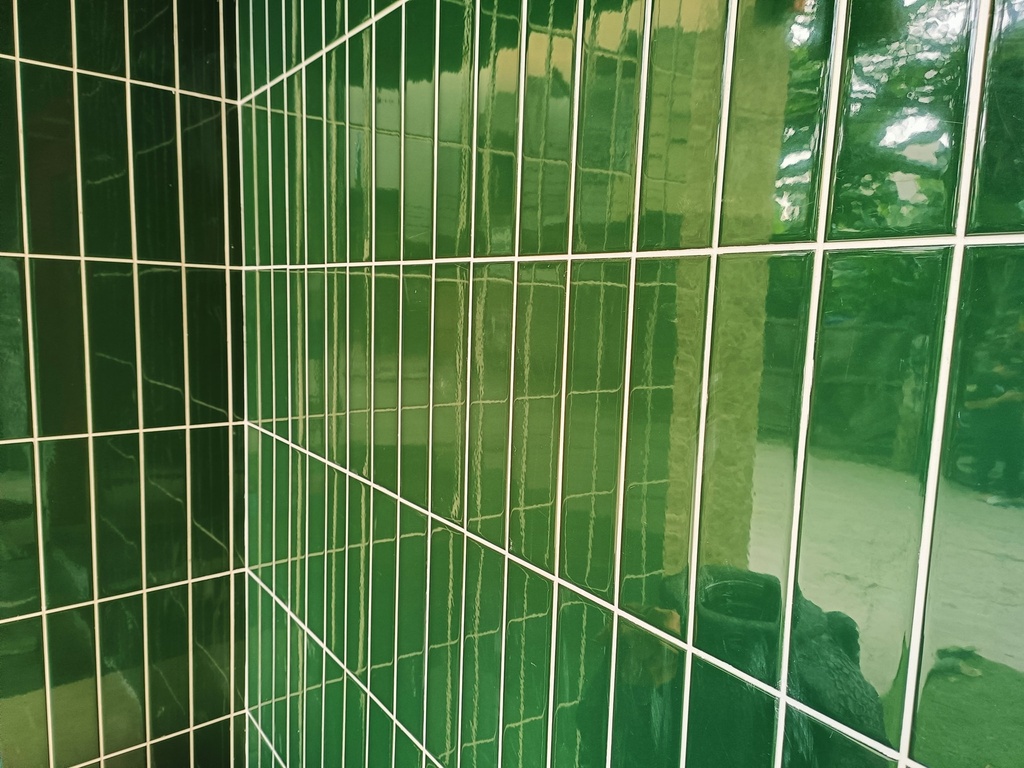 Gạch thẻ cao cấp xanh lục bóng phẳng KT 75x300mm PSTA75312