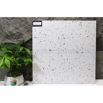 Gạch Terrazzo 600x600mm Men Matt VA6616