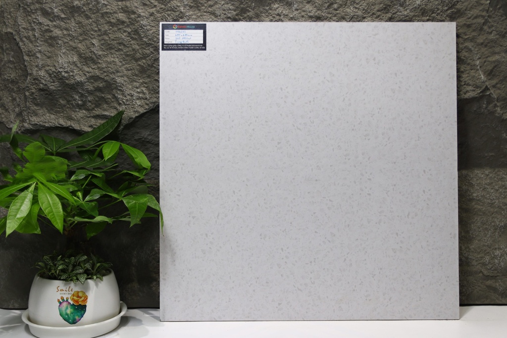 Gạch Terrazzo 600x600mm Men Matt H66233