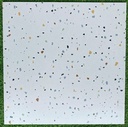 Gạch Terrazzo 600x600mm Men Matt Z66231