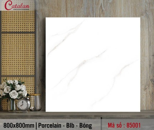 [85001] Gạch lát nền Porcelain Catalan 800x800mm TITAN 85001