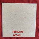 Gạch Terrazzo 600x600mm mã 6621