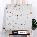 Gạch Terrazzo 600x600mm Men Matt DS66007