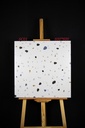 Gạch Terrazzo 600x600mm Men Matt S6C01