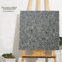 Gạch Terrazzo 600x600mm Men Matt H623