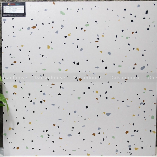 [H66231] Gạch Terrazzo 600x600mm Men Matt H66231